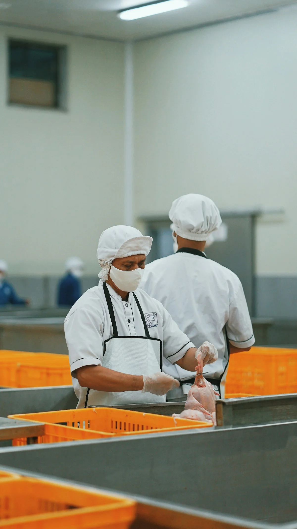 Trabajador envasando alimentos en línea de producción